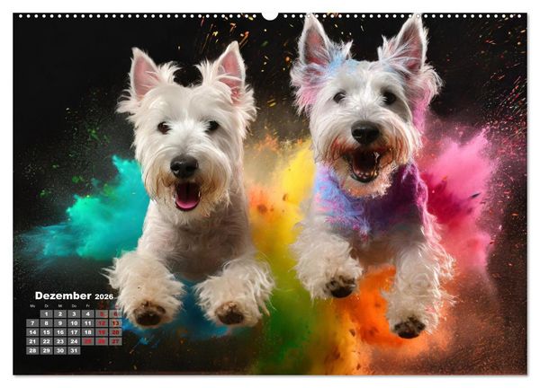 Produktbild: Holi Pulver - Doppelte Action (hochwertiger Premium Wandkalender 2026 DIN A2 quer), Kunstdruck in Hochglanz