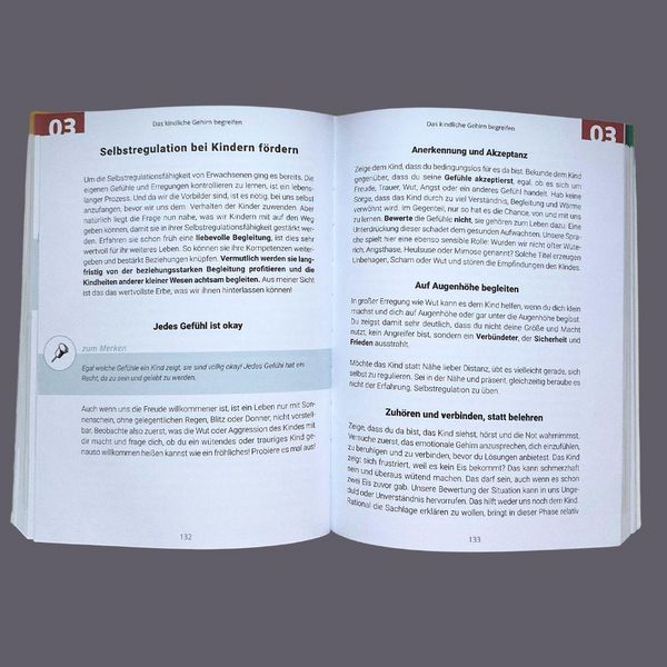 Produktbild: Gemeinsam durch die Wut