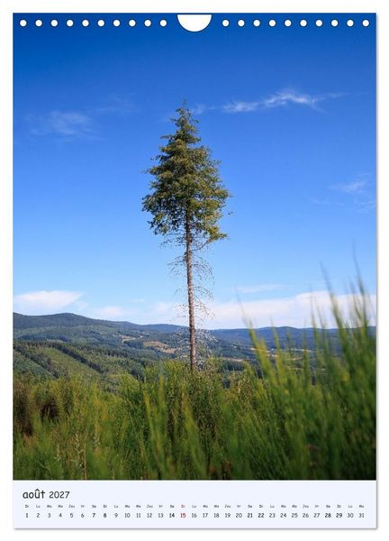 Produktbild: Arbres solitaires (Calendrier mural 2027 DIN A4 horizontal), CALVENDO calendrier mensuel