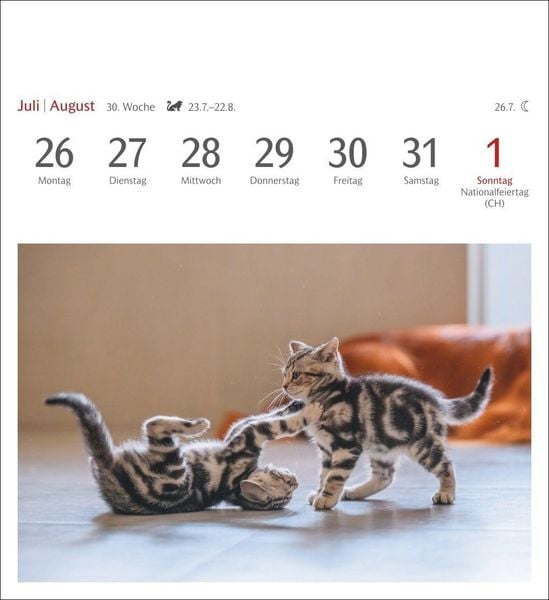 Produktbild: Katzen Postkartenkalender 2027 - Wochenkalender mit 53 Postkarten