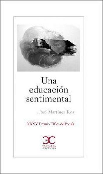 Produktbild: Una educaci&oacute;n sentimental