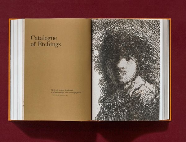 Produktbild: Rembrandt. S&auml;mtliche Zeichnungen und Radierungen