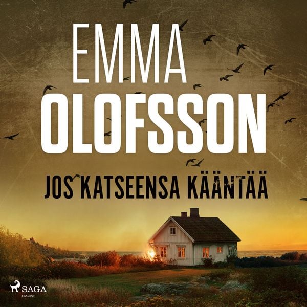 Produktbild: Jos katseensa k&auml;&auml;nt&auml;&auml;