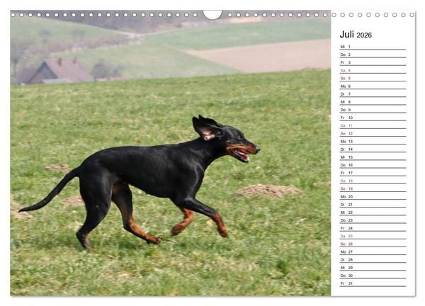 Produktbild: Der Brandlbracken-Terminplaner (Wandkalender 2026 DIN A3 quer), CALVENDO Monatskalender