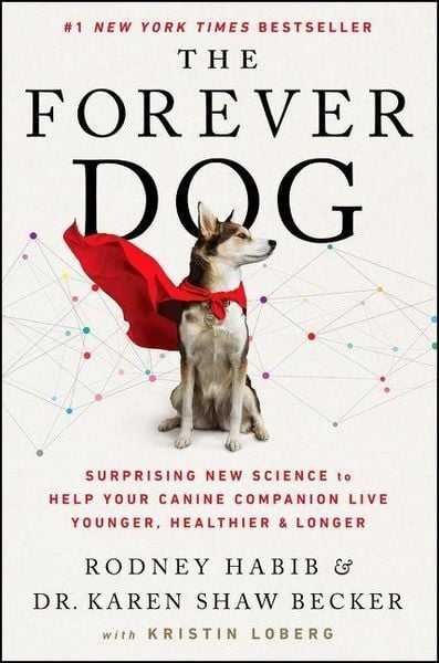 Produktbild: The Forever Dog
