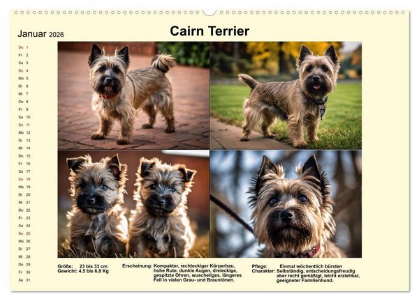 Produktbild: Terrier-Rassen im Portrait (hochwertiger Premium Wandkalender 2026 DIN A2 quer), Kunstdruck in Hochglanz