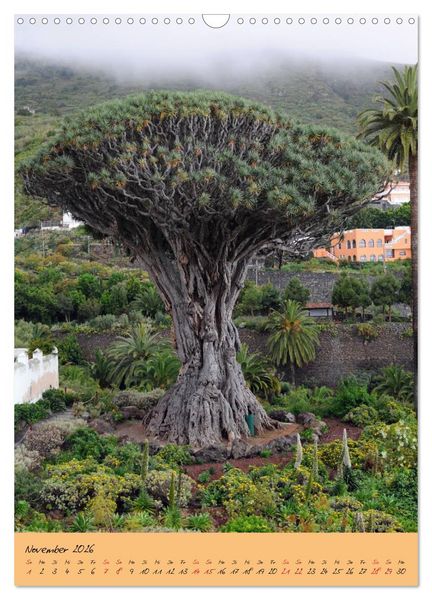 Produktbild: Vulkaninsel Teneriffa (Wandkalender 2026 DIN A3 hoch), CALVENDO Monatskalender