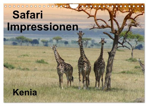 Produktbild: Safari Impressionen / Kenia (Wandkalender 2026 DIN A4 quer), CALVENDO Monatskalender