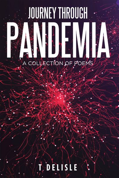 Produktbild: Journey Through Pandemia