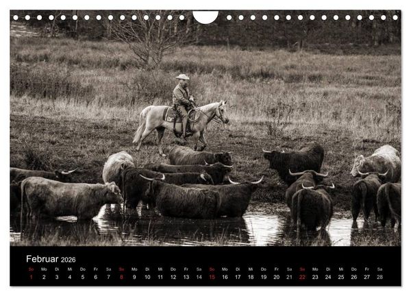 Produktbild: Westernreiten (Wandkalender 2026 DIN A4 quer), CALVENDO Monatskalender