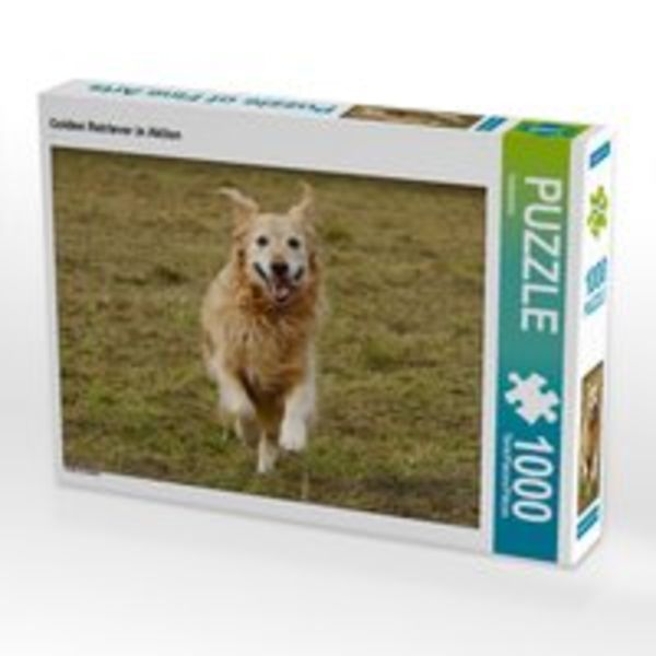 CALVENDO Puzzle Golden Retriever in Aktion 1000 Teile Lege-Größe 64 x 48 cm Foto-Puzzle Bild von Kattobello