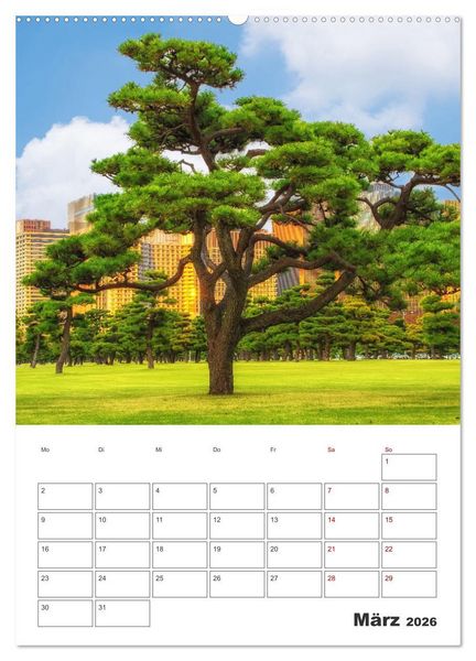 Produktbild: Tokio - Reiseplaner (Wandkalender 2026 DIN A2 hoch), CALVENDO Monatskalender