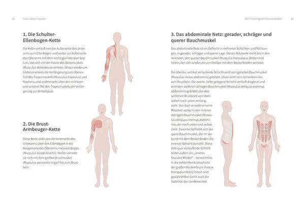 Produktbild: Training f&uuml;r die Faszien - Die Erfolgsformel f&uuml;r ein straffes Bindegewebe