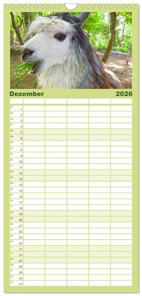 Produktbild: Familienplaner 2026 - Alpakas und Lamas mit 5 Spalten (Wandkalender, 21 x 45 cm) CALVENDO