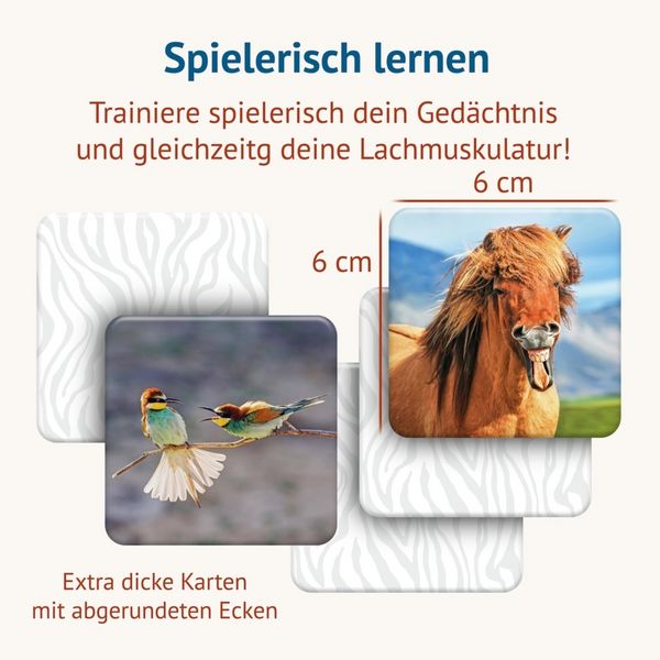 Produktbild: Tierisch Lustig - Memospiel