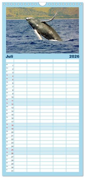 Produktbild: Familienplaner 2026 - Delfine und Wale mit 5 Spalten (Wandkalender, 21 x 45 cm) CALVENDO
