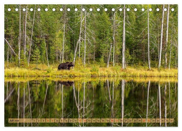 Produktbild: Wildes Finnland (Tischkalender 2026 DIN A5 quer), CALVENDO Monatskalender
