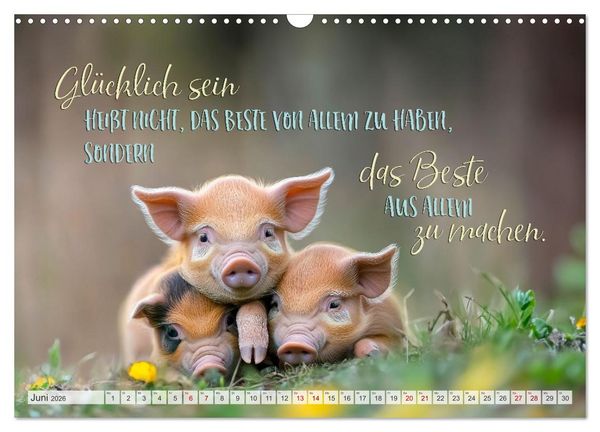 Produktbild: Ein tierisch gutes Jahr (Wandkalender 2026 DIN A3 quer), CALVENDO Monatskalender