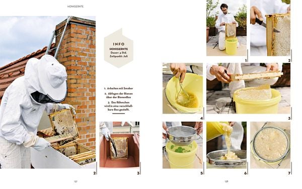 Produktbild: Bienen halten mit der BienenBox