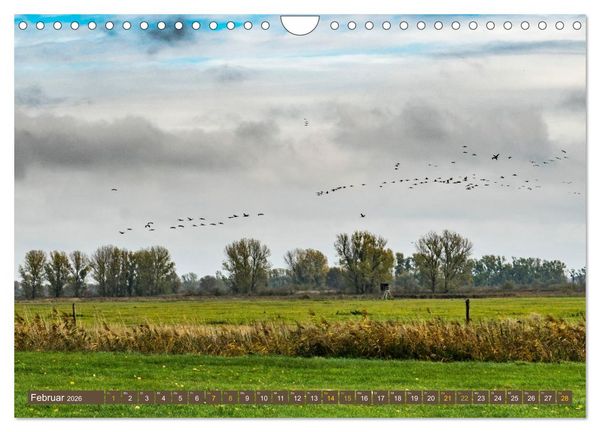 Produktbild: Brandenburger Landschaften (Wandkalender 2026 DIN A4 quer), CALVENDO Monatskalender