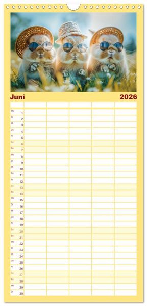 Produktbild: Familienplaner 2026 - Lustige Hasengeschichten mit 5 Spalten (Wandkalender, 21 x 45 cm) CALVENDO