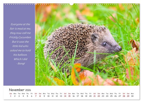 Produktbild: Animals like humour (High Quality Premium Wall Calendar 2026 DIN A2 landscape),CALVENDO 12 Month Wall Calendar