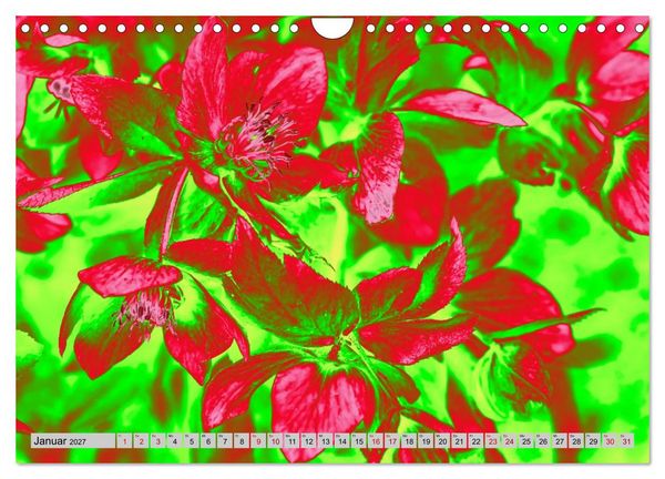 Produktbild: Blumen Pop-Art (Wandkalender 2027 DIN A4 quer), CALVENDO Monatskalender