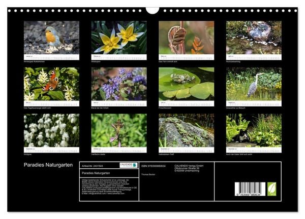 Produktbild: Paradies Naturgarten (Wandkalender 2027 DIN A3 quer), CALVENDO Monatskalender