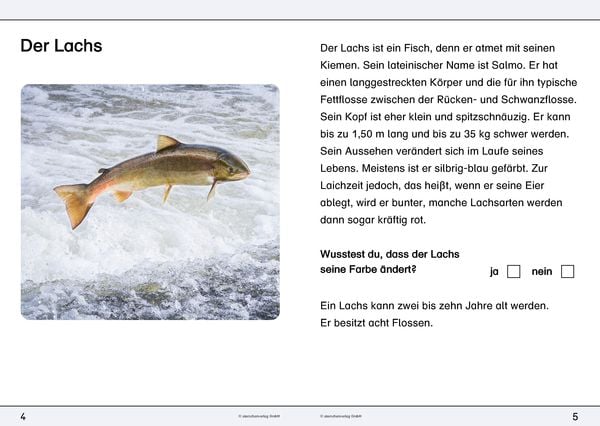 Produktbild: Ich kenne den Lachs - Lebenszyklus