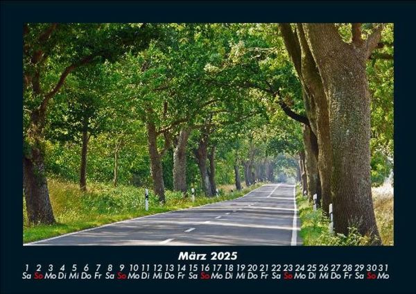 Produktbild: B&auml;ume 2025 Fotokalender DIN A5