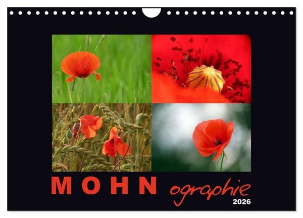 Produktbild: MOHNographie (Wandkalender 2026 DIN A4 quer), CALVENDO Monatskalender