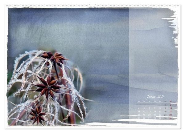 Produktbild: Natur und Farbe Fotografie trifft Aquarell (Wandkalender 2027 DIN A2 quer), CALVENDO Monatskalender