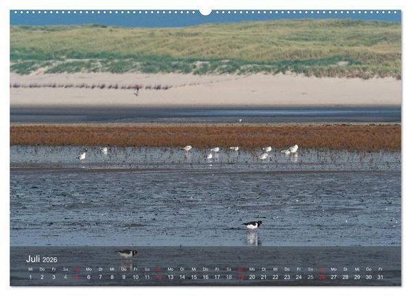 Produktbild: Texel - Meine Insel (Wandkalender 2026 DIN A2 quer), CALVENDO Monatskalender