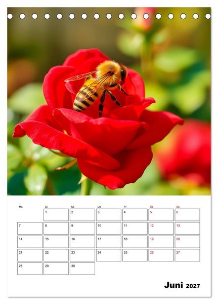 Produktbild: Die leisen Stimmen der Tiere (Tischkalender 2027 DIN A5 hoch), CALVENDO Monatskalender