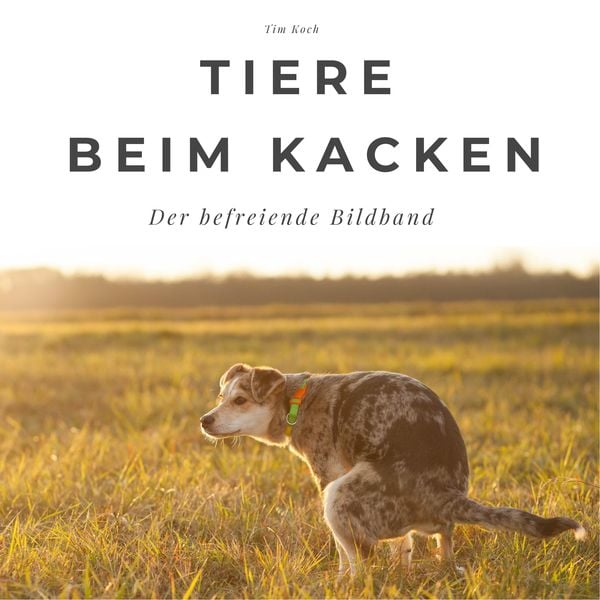 Produktbild: Tiere beim Kacken