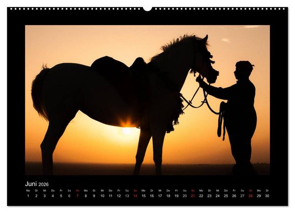 Produktbild: Vollblutaraber (hochwertiger Premium Wandkalender 2026 DIN A2 quer), Kunstdruck in Hochglanz