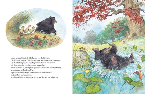Produktbild: Das Gro&szlig;e Buch von B&auml;r und Igel