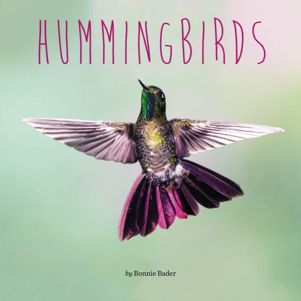 Produktbild: Hummingbirds