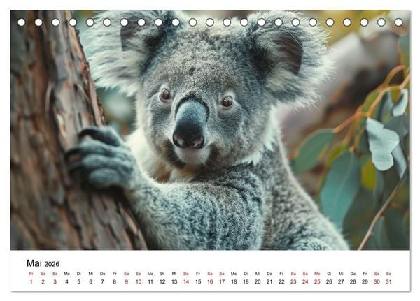 Produktbild: Wildes Down Under: Tiere des Australischen Kontinents (Tischkalender 2026 DIN A5 quer), CALVENDO Monatskalender
