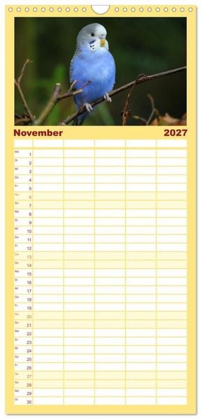 Produktbild: Familienplaner 2027 - Wellensittichkalender! - Das Original mit 5 Spalten (Wandkalender, 21 x 45 cm) CALVENDO