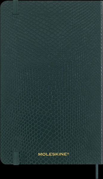 Produktbild: Moleskine Vegea Boa Notizbuch A5 liniert Kt gr&uuml;n in Box