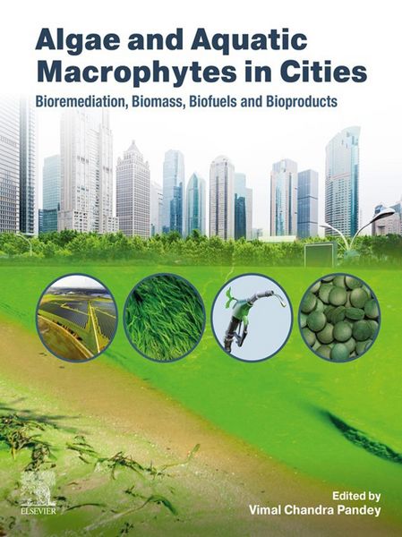 Produktbild: Algae and Aquatic Macrophytes in Cities