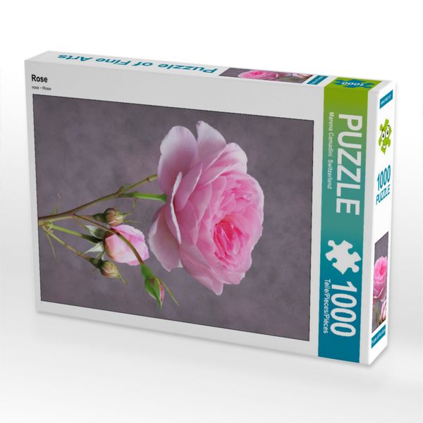 Produktbild: CALVENDO Puzzle Rose | 1000 Teile Lege-Gr&ouml;&szlig;e 64x48cm Foto-Puzzle f&uuml;r gl&uuml;ckliche Stunden