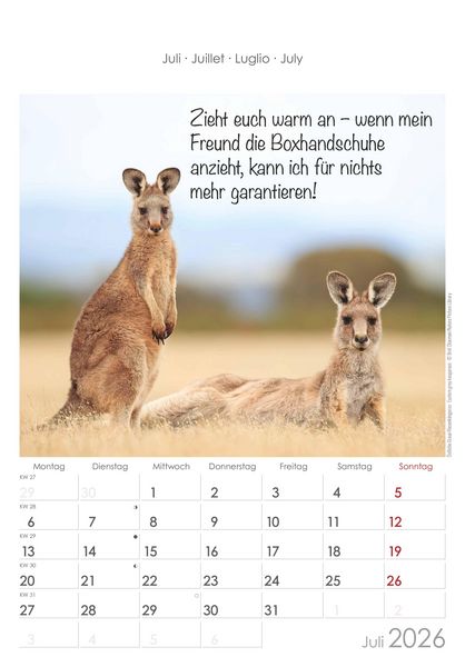 Produktbild: Kleine Freunde 2026 - Bildkalender 23,7x34 cm - Kalender mit Platz für Notizen - mit vielen Zusatzinformationen - Wandkalender - Alpha Edition