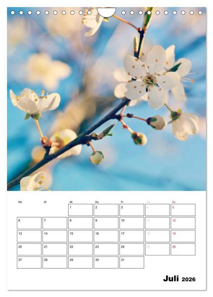 Produktbild: Zauberhafte Bl&uuml;tenwelt / Planer (Wandkalender 2026 DIN A4 hoch), CALVENDO Monatskalender