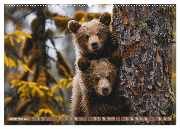 Produktbild: Bears Kingdom (Wall Calendar 2026 DIN A2 landscape), CALVENDO 12 Month Wall Calendar