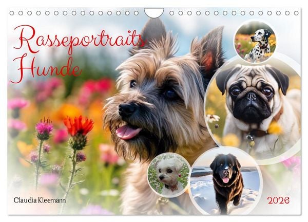 Rasseportraits - Hunde (Wandkalender 2026 DIN A4 quer), CALVENDO Monatskalender