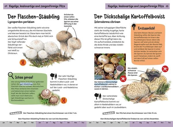 Produktbild: Welcher Pilz ist das? Kindernaturf&uuml;hrer