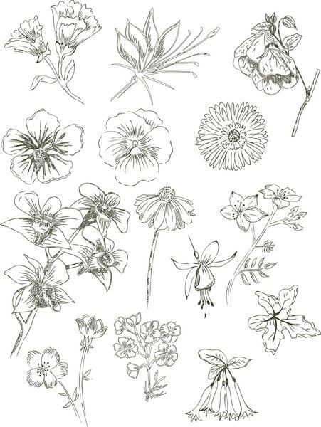 Produktbild: Natur Inspiration &ndash; 50 Gartenmotive kolorieren