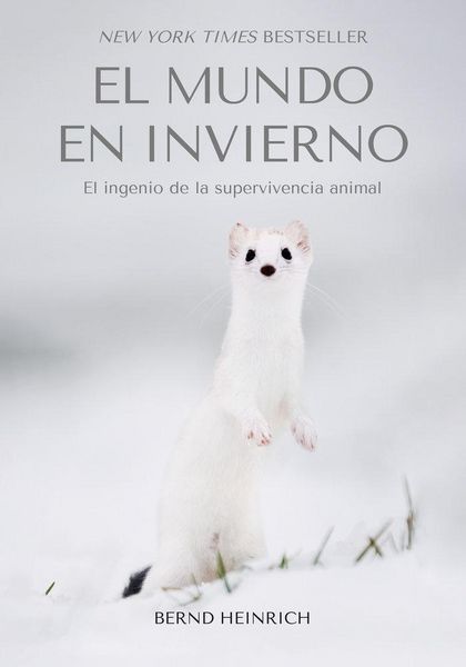 Produktbild: El Mundo en Invierno